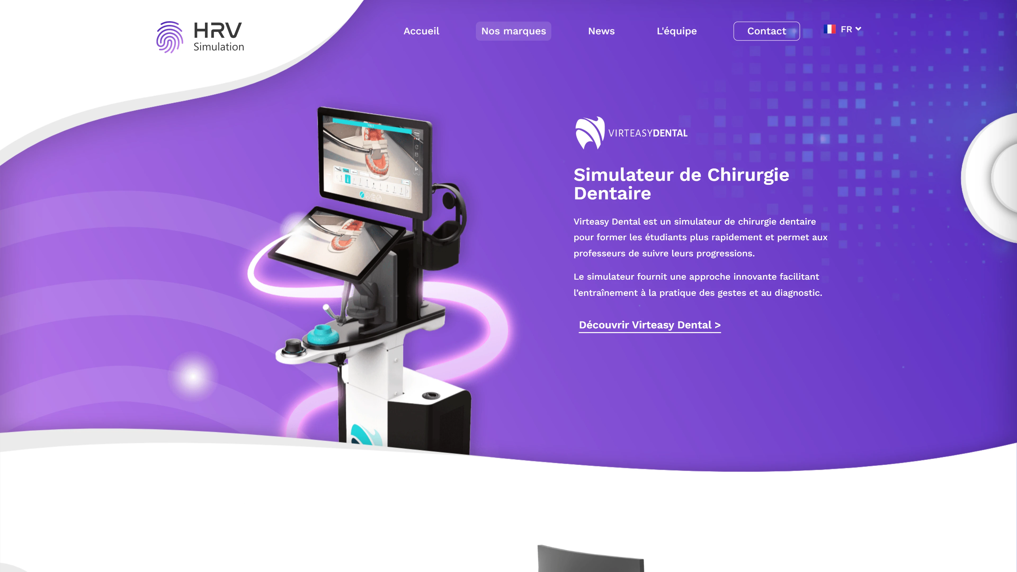HRV Simulation — visual identity